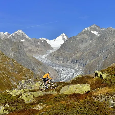 公寓 Bim 贝特默阿尔卑