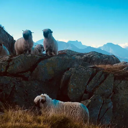 Appartamento Bim Bettmeralp