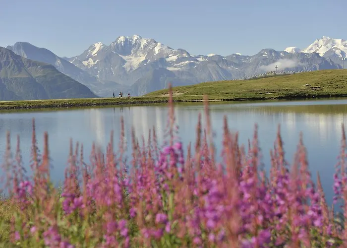 Bim *