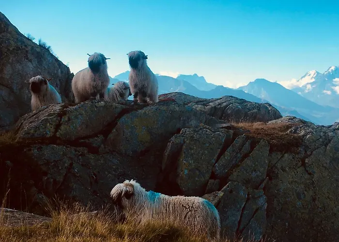 Appartamento Bim Bettmeralp